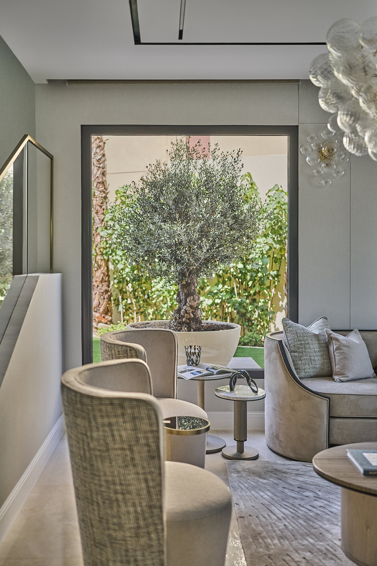 The lounge opens onto the home's emotional anchor, a mature olive tree framed like a painting
