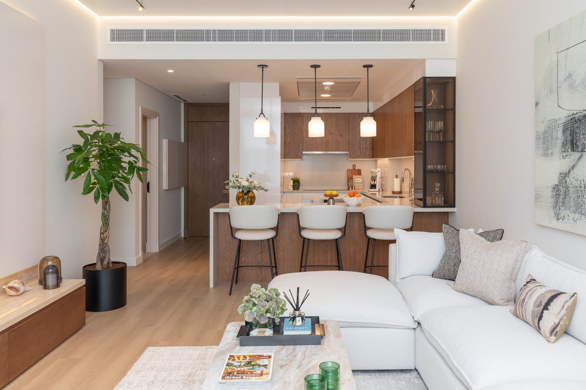 From the entry, the apartment's social spine reveals itself in a single glance