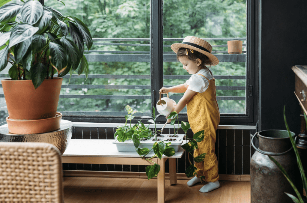 5 Low-Maintenance Indoor Plants That Will Thrive in Any Indian Home — ,