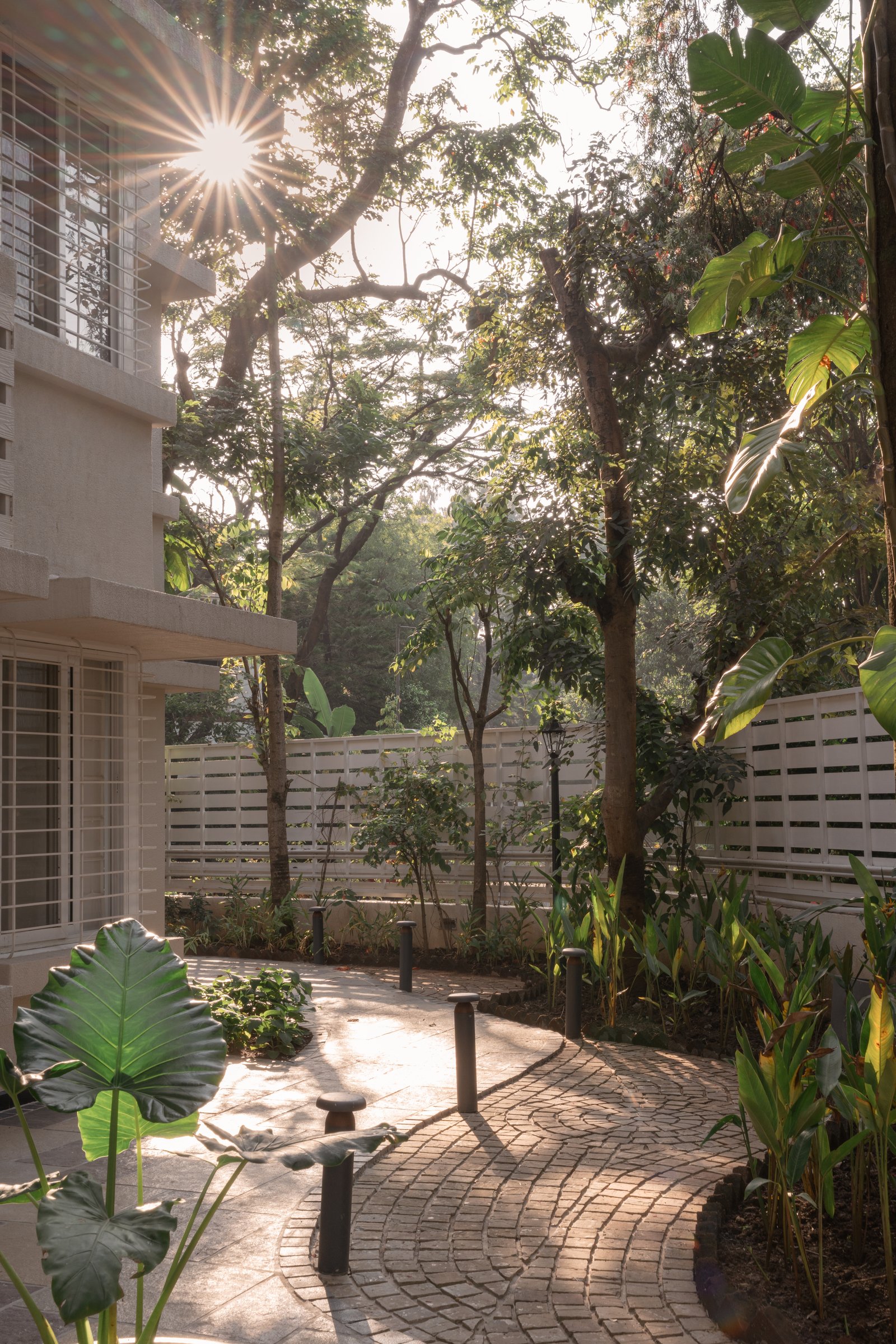 The garden pathway beneath mature trees, a landscape that gives the interiors their quality of retreat