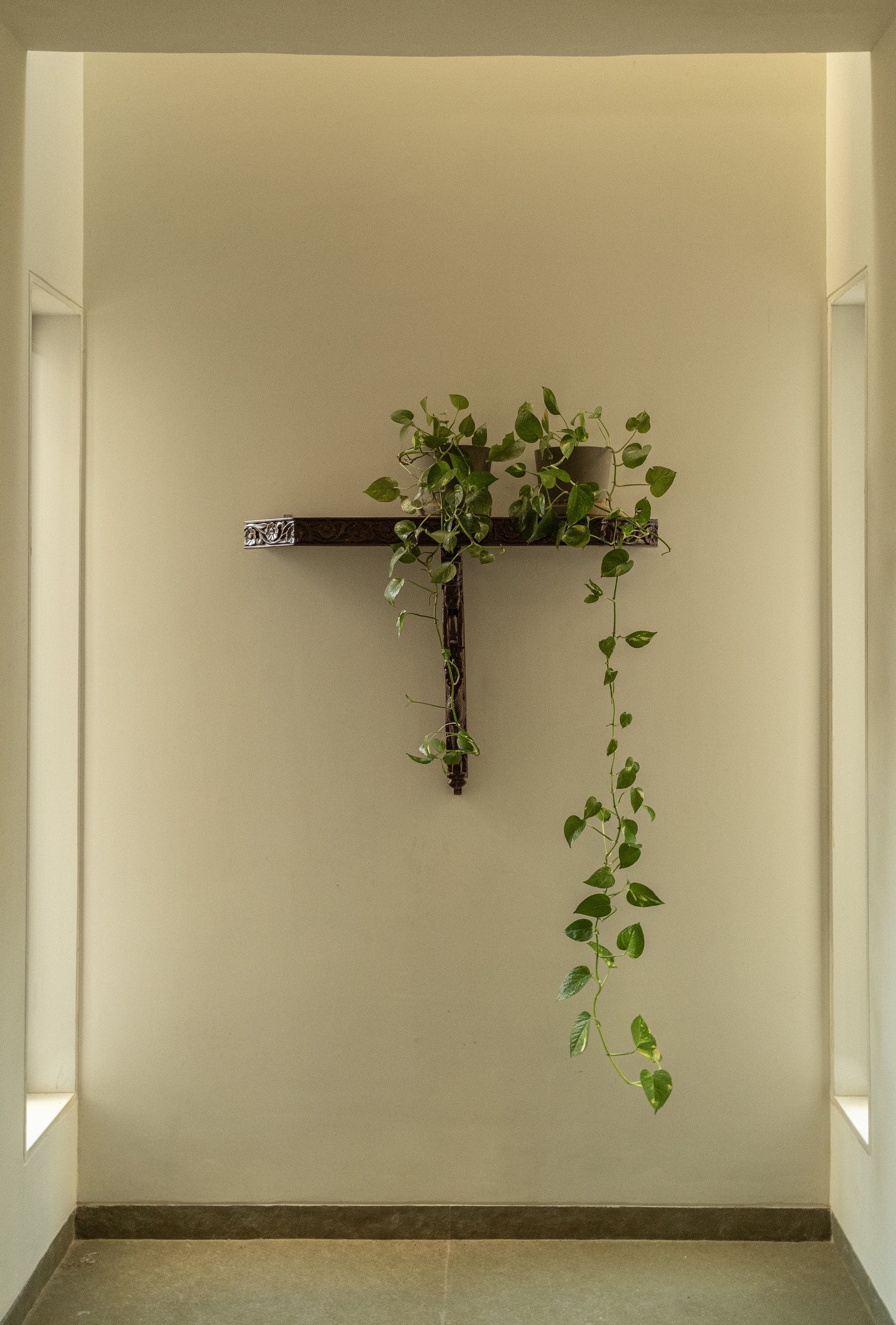 A wall niche with a carved wooden bracket and trailing money plants reveals the project's instinct for considered, incidental moments