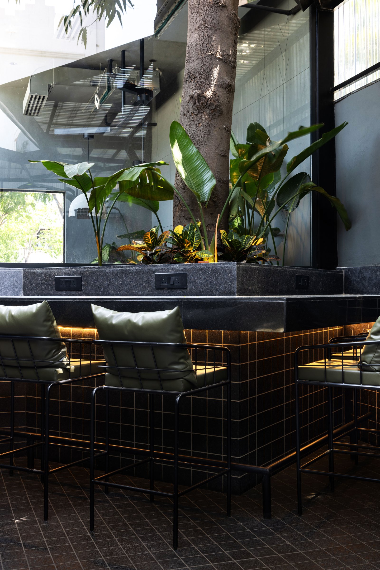 The bar seating, where wire-frame stools with olive cushions gather beneath the tree's raised planter